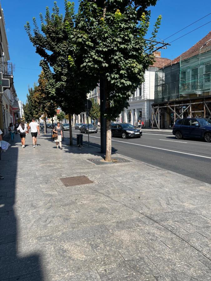 Ndl Downtown Cluj Aparthotel Esterno foto